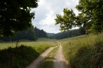 Národní park Bukové hory, cesta z Bálvány do Szilvásváradu, Maďarsko