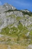 V údolí Wimbachtal, Berchtesgadenské Alpy, Německo