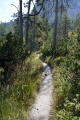 V údolí Wimbachtal, Berchtesgadenské Alpy, Německo