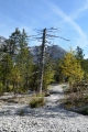 V údolí Wimbachtal, Berchtesgadenské Alpy, Německo