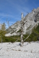 V údolí Wimbachtal, Berchtesgadenské Alpy, Německo