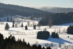 Pod Bishofsreutem,