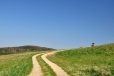 Cestička nad Smolotely.