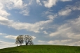 Vrcholek Lesné, ne nepodobný Žítkovskému vrchu.