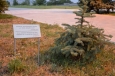 Památník arménské genocidy a okolí, Jerevan