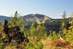 Velký Javor (1 456 m n. m.) budeme mít na očích až na Ostrý.
