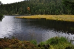 Malé Javorské jezero (Kleiner Arbersee) je velmi fotogenické. Po dvou letech se k němu vracím téměř ve stejném období. 