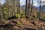 Vrcholová pasáž. Pro snazší terén slézáme podle skal k jihu. Tudy bych doporučoval i výstup, který bude bez nebezpečí pádu mezi polomy uschlých smrků.