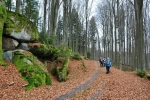 PP Pivonické skály začíná již u hranic. Nad námi je atraktivní Stříbrný vrch (936 m n. m.) s vděčným bučinovým porostem.