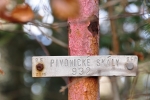 Dalším vrcholem je Pivonický vrch či Pivonické skály.