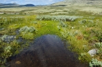 Národní park Rondane, Norsko