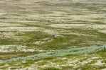 Národní park Rondane, Norsko