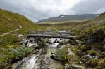 Národní park Rondane, potok poblíž jezera Rondvatnet, Norsko