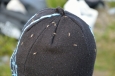 Komáři v národní parku Rondane, Norsko