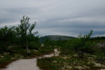 Cesta okolo říčky Store Ula, národní park Rondane, Norsko