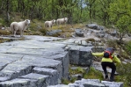 Národní park Rondane, Norsko