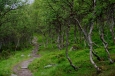Národní park Rondane, Norsko