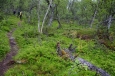 Národní park Rondane, Norsko