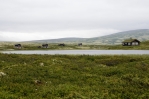 Vesnička Mysusaeter, národní park Rondane, Norsko