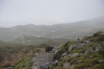 Velký zlý hnědý medvěd na plošině Hardangervidda, Norsko