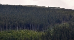 Keprník.