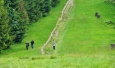 Roman závodí s paraglidisty. Nahoru určitě vyhraje, ale dolů?