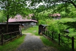 V Horní Lomné jsou k vidění krásné, zachovalé dřevěné domky.