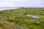 Krajina okolo Mývatnu. Nejedná se o louky, ale spíše o zarostlá lávová pole. 