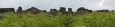Panorama Dimmuborgiru 