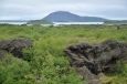Jezero Mývatn s pseudokrátery, pohled z Dimmuborgiru. Vzadu hora Vindbelgjarfjall.
