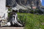 Passo Falzaredo.