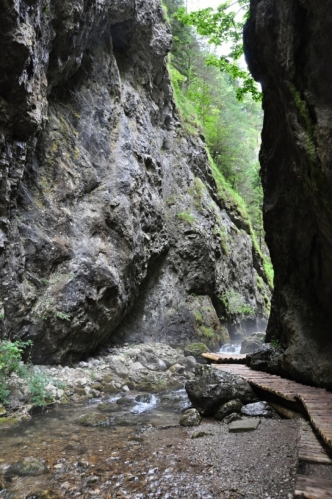 3 km dlouhou Prosiecká dolinu vyhloubil potok Prosečianka ve východní části pohoří Chočské vrchy mezi masívy Lomno (1278 m) a Prosečné (1372 m).