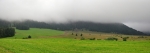 Panorama.