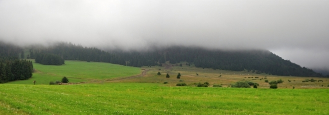Panorama.