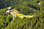 Kosodrevina.