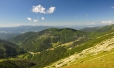 Srdiečko a Kosodrevina.