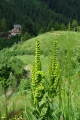 Rifugio Taramelli leží na skalnatém pahorku a dobře nás pohostila, přestože kolem panoval živý stavební ruch.