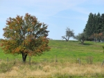 Pod vrchem Kňourek (729 m n. m.).