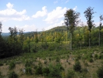 Javorný vrch.