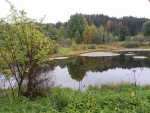 Uhlíkovský rybník.