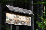 Lesní cesty jsou v VVP označeny jmény.