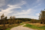 K Zlaté.