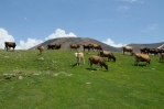 U vrcholu Učtepe (3307 m) v pohoří Geghamy, Arménie