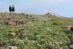 Na vrcholu Aždahak (3597 m) v pohoří Geghamy, Arménie