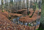 Munický potok.