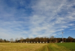 Kemp Křivonoska.