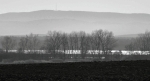 Kleť (1 084 m n. m.), nejvyšší vrchol Blanského lesa přes Bezdrev.