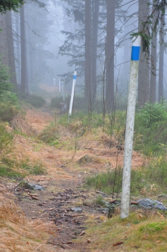 Hranice s nezbytnými sněhobílými kůly. Myslel jsem si, že je Bavoři po vzniku Schengenu přestanou udržovat, ale opak je pravdou. Ostatně kdo ví, co za pár let bude a co nebude.