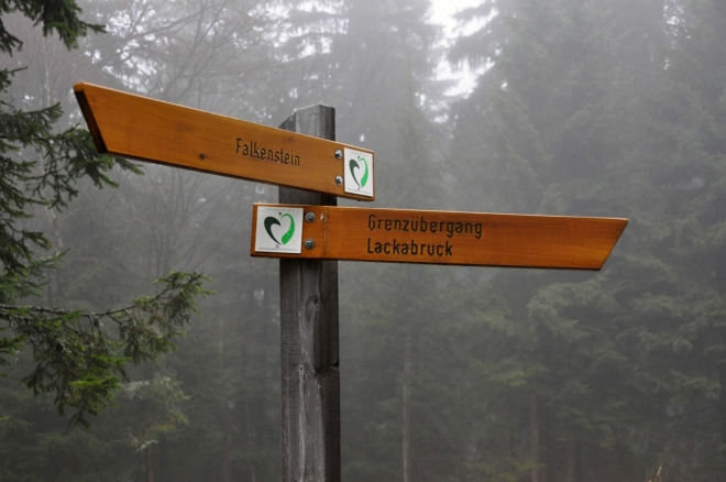 Nejen tyto značené trasy, ale i ostatní cesty a stezky jsou turistům v NP Bavorský les v době od 15. 7. do 15. 11. zcela otevřeny. Dokonce i v nejcennějším jádrovém území, tzv. Kerngebietu. U nás v identických l. zónách něco takového neexistuje. Velké atraktivní plochy Šumavy tak jsou turistům zcela zbytečně uzavřeny. Výmluvy na klid kvůli tetřevům jsou opravdu jen výmluvami. Mnohem větší populace tetřeva obývala Šumavu v době, kdy na ní žilo mnohonásobně více lidí a tehdy se dokonce tetřev lovil. Kde je tedy pravda? Pokud začal postupně vymírat, jistě to nebylo proto, že ho občas vyplašili lidé. Důvod mohl být ve vysázených monokulturních stejnověkých smrčinách. Ty v l. zónách vyrůstají znovu. O buk zde nezavadíte. Proč to nikomu nevadí?