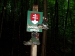Cestou zkoumáme moji prastarou mapu. Zdá se, že se až tak úplně neshoduje se značkami a jak je vidět, nebyli bychom první, kdo to tady nadobro zabalil.